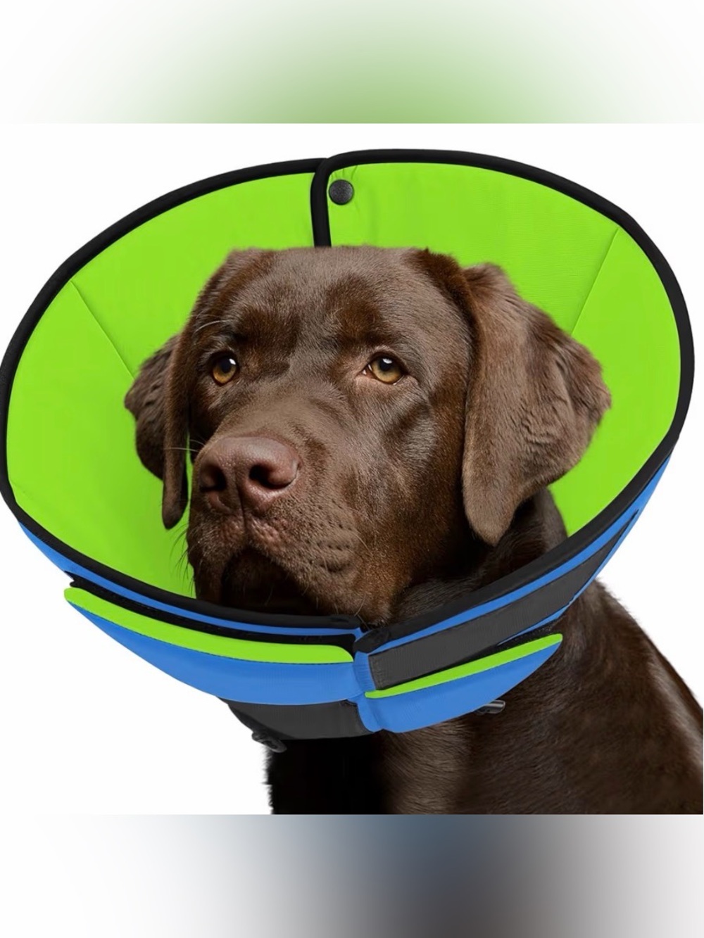 Recovery Soft Cone Post Op Collar for Dogs - Size Large